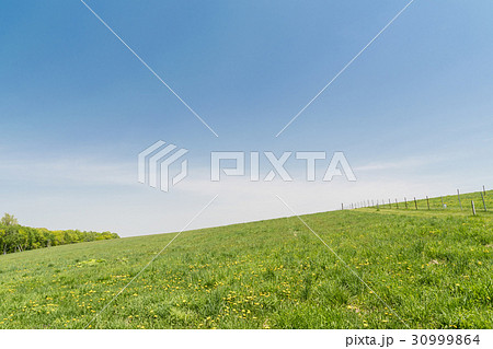 草原のイメージ / 夏の北海道 30999864