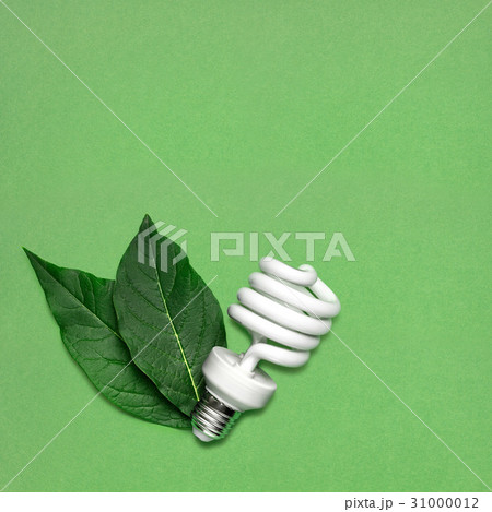 Eco bulb. 31000012