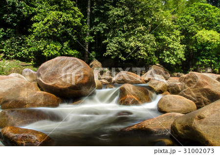 Small brook in tropical forest. 31002073