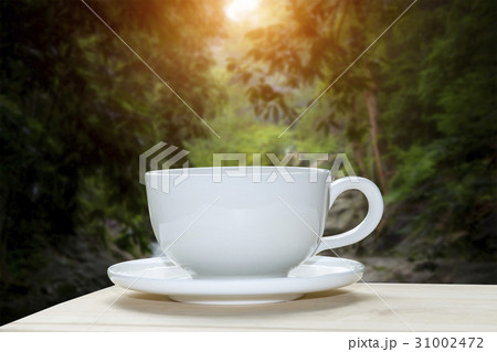 White coffee cup with blur of forest background. White coffee cup with blur of forest background. 31002472