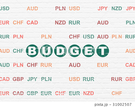 Banking concept: Budget on wall background Banking concept: Budget on wall background 31002507