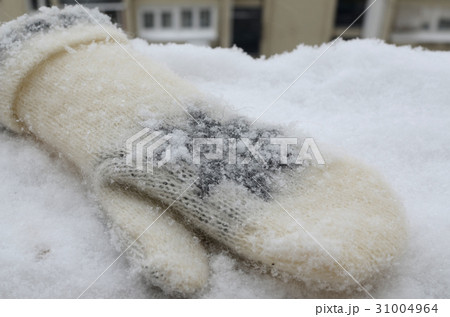 Winter Mitten on Snow Winter Mitten on Snow 31004964