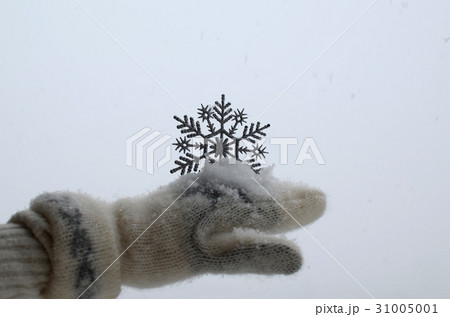 Glove with Snowflake Decoration Glove with Snowflake Decoration 31005001