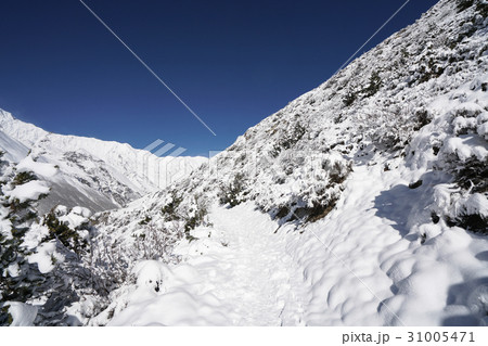 Landscape in Annapurna circuit,trekking in Nepal Landscape in Annapurna circuit,trekking in Nepal 31005471