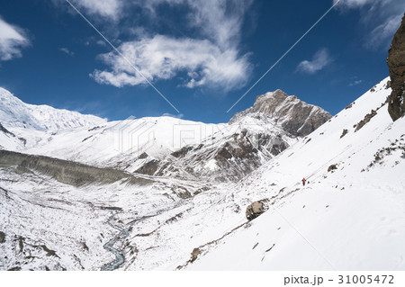 Landscape in Annapurna circuit,trekking in Nepal Landscape in Annapurna circuit,trekking in Nepal 31005472