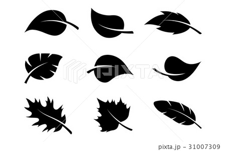 black silhouettes of leaves set 31007309