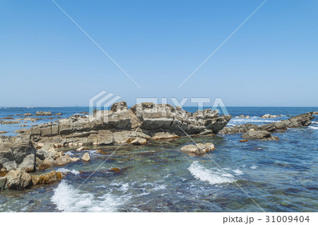 平磯 白亜紀層 平磯 白亜紀層 31009404