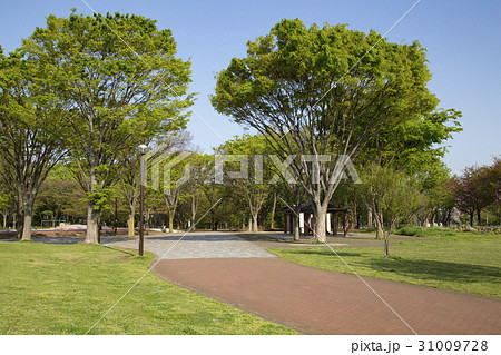 都立東村山中央公園 31009728