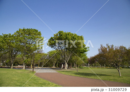 都立東村山中央公園 31009729
