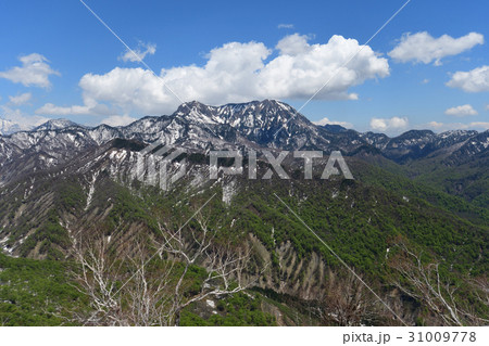 高妻山　残雪　新緑　 31009778