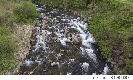 岳川 岳川 31009808