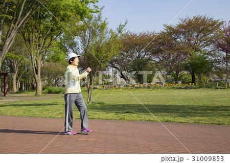 公園をウォーキングするシニア女性 公園をウォーキングするシニア女性 31009853