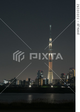 荒川越しに眺める東京スカイツリー・幟(のぼり)ライティングの夜景_b 31010192