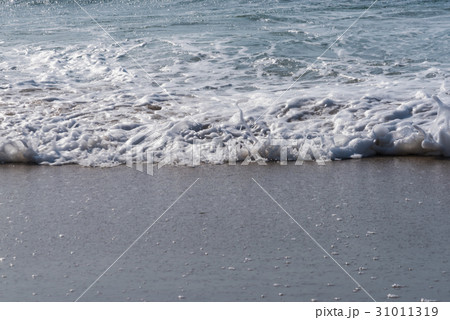 豊浜海水浴場 豊浜海水浴場 31011319