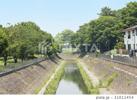 神田川の支流の善福寺川(東京都杉並区) 神田川の支流の善福寺川(東京都杉並区) 31011454