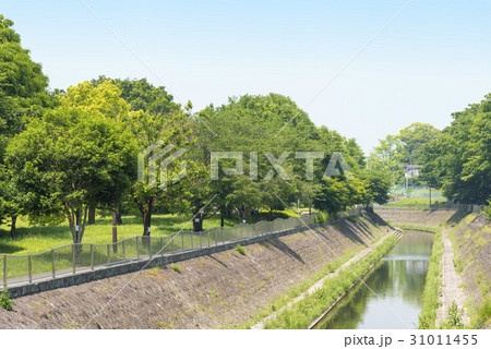 神田川の支流の善福寺川（東京都杉並区） 31011455