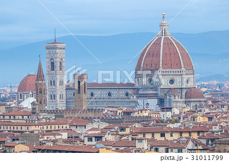 Florence city Landmark  31011799