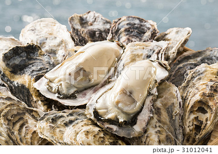 牡蠣 31012041