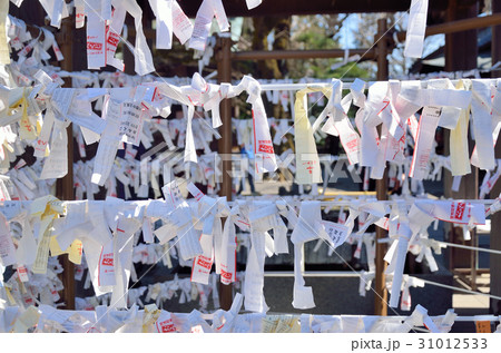 和風イメージ　おみくじ 31012533