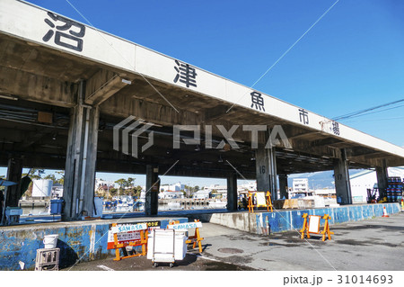 沼津漁港 沼津漁港 31014693