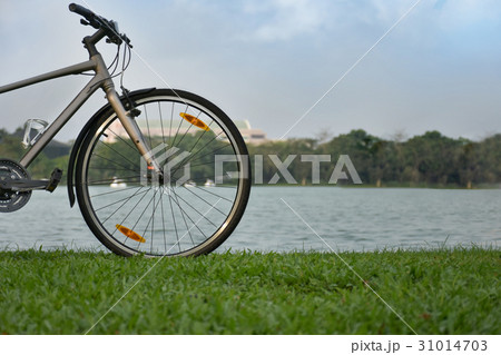 Bicycles parked near a quiet pond. 31014703