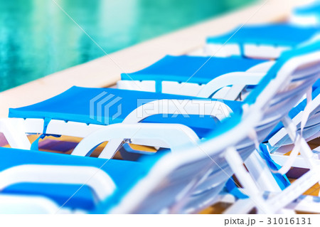 Row of beach chairs and swimming pool 31016131
