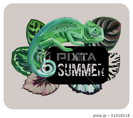 Slogan Hello Summer With Chameleonのイラスト素材
