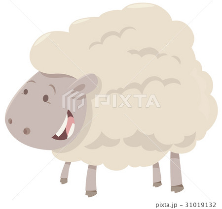 farm sheep animal 31019132
