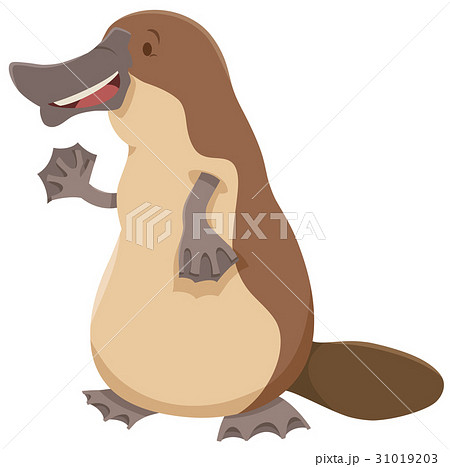 Platypus Animal Characterのイラスト素材