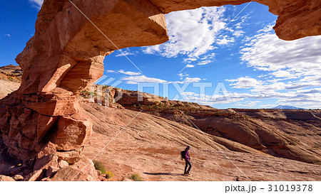 Arsenic Arch 31019378