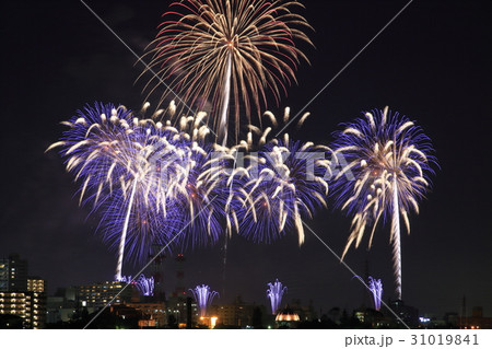 土浦全国花火競技大会 31019841