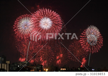土浦全国花火競技大会 31019853