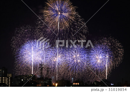 土浦全国花火競技大会 31019854