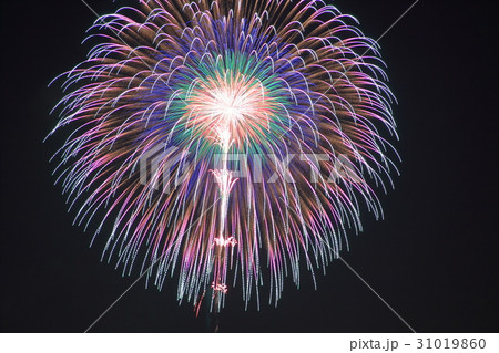 土浦全国花火競技大会 土浦全国花火競技大会 31019860