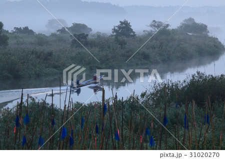 朝もやの涸沼　漁に出かける小舟 31020270
