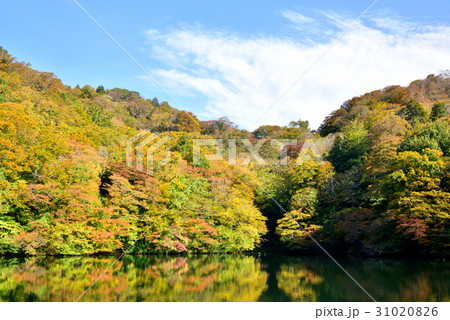 青森県　白神山地十二湖の秋　落口の池 31020826