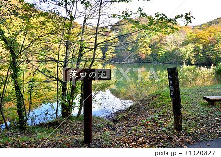 青森県　白神山地十二湖の秋　落口の池 31020827