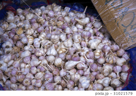 野菜 ベジタブル 青菜 31021579