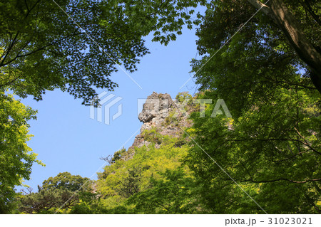 香川県小豆島町 寒霞渓 犬岩(ライオン岩) 香川県小豆島町 寒霞渓 犬岩(ライオン岩) 31023021