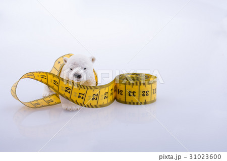 Polar bear surrounded by Measuring tape Polar bear surrounded by Measuring tape 31023600