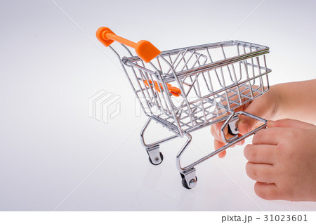 Shopping cart the hand on white background Shopping cart the hand on white background 31023601