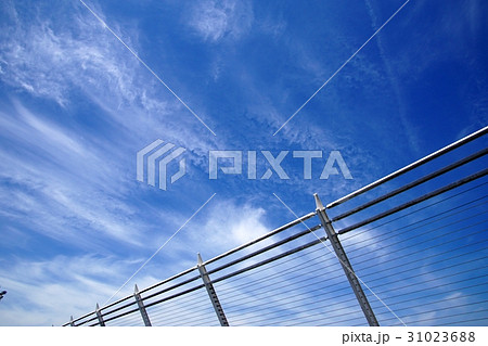 鹿児島空港から,その4 鹿児島空港から,その4 31023688