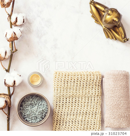 Spa cosmetics and meditating frog Spa cosmetics and meditating frog 31023704