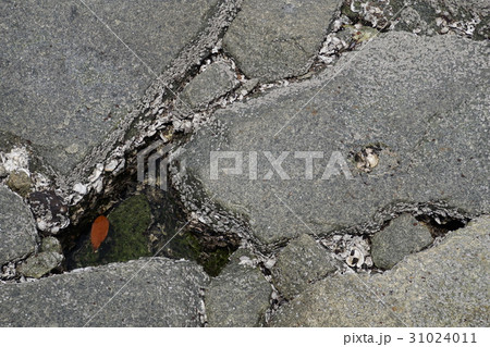 人工の波打ち際その１ 31024011