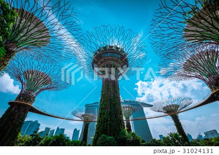 シンガポール ガーデンズ・バイ・ザ・ベイ シンガポール ガーデンズ・バイ・ザ・ベイ 31024131