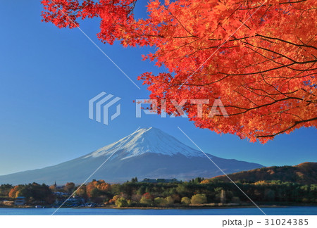紅葉の河口湖と富士山 31024385