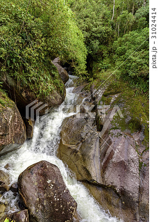 River in Itatiaia National Park 31024414