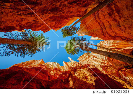 ブライス・キャニオン国立公園 31025033