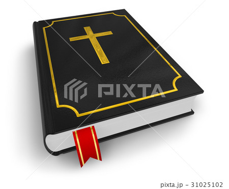 Holy Bible Holy Bible 31025102