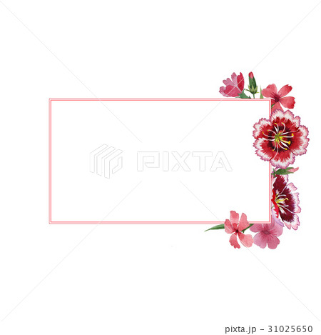 Wildflower carnation flower frame in a watercolor 31025650